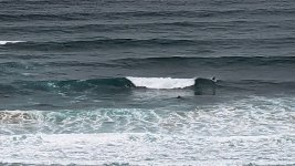 Surferos-playa-Langre (2).jpg